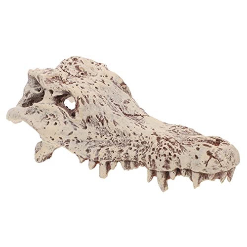 ibasenice Resin Schildkröten Plattform Dekoration mit Versteckfunktion Langlebig und Formbeständig Aquarium und Terrarium Ornament für Schildkröten und Reptilien Fördert Bewegung und ibasenice Resin Schildkröten Plattform Dekoration mit Versteckfunktion Langlebig und Formbeständig Aquarium und Terrarium Ornament für Schildkröten und Reptilien Fördert Bewegung und von ibasenice