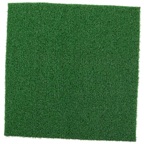ibasenice Schildkrötenplattform für Aquarium wasserschildkröten Terrarium zubehör Terrarien Zubehör Schildkrötenpanzerfelsen für das Aquarium transparente Sonnenplattform Grasmatte Abs Green von ibasenice