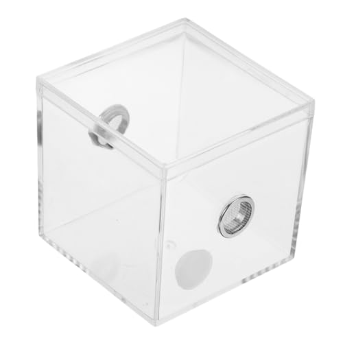 ibasenice Singvogelkäfig Reptiliengehäuse Springender Spinnenlebensraum Spinnenfütterung Insekten -Terrarium kleines Terrarium Käferhaus Zubehör für springende Spinnen Plastik Transparent ibasenice Singvogelkäfig Reptiliengehäuse Springender Spinnenlebensraum Spinnenfütterung Insekten -Terrarium kleines Terrarium Käferhaus Zubehör für springende Spinnen Plastik Transparent von ibasenice