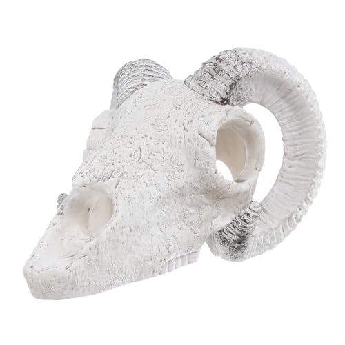 ibasenice Skull Höhle aus Langlebigem Resin als Versteck für Fische und Reptilien Eindrucksvolle Terrarium Dekoration für Aquatische ibasenice Skull Höhle aus Langlebigem Resin als Versteck für Fische und Reptilien Eindrucksvolle Terrarium Dekoration für Aquatische von ibasenice