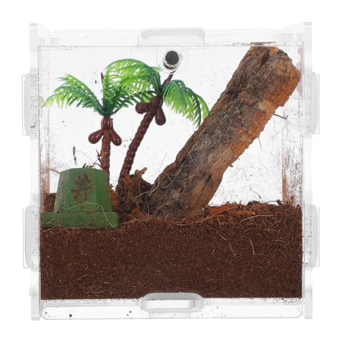 ibasenice Spinnenbox Für Haustiere Schildkrötelebensraum Vogelspinne Zubehör Mikrohabitat-terrariumgehege Spinnengehege Tarantula -gehäuse Echsenkäfig Kleines Reptilienbecken Acryl von ibasenice