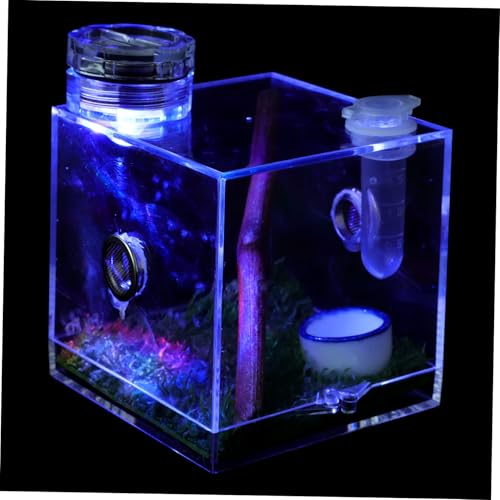 ibasenice Spinnenlebensraum Box Für Springspinnen Transparente Aufzuchtbox Futteröffnung Für Pflege Und Transport Von Kleinen Insekten von ibasenice
