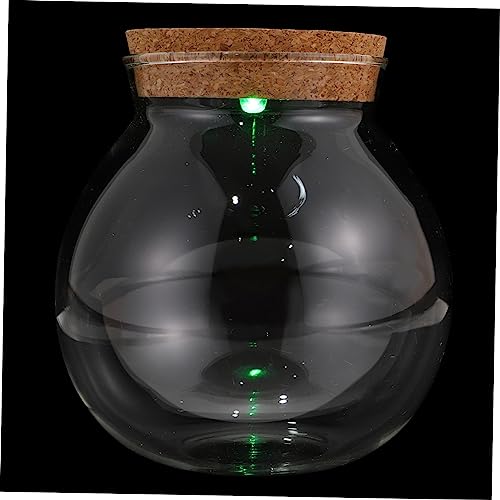 ibasenice Terrarium Container mit LED Licht Dekorative Landschaftshandwerkflasche für Micro Landschaften Ökologisches Pflanzgefäß zur Raumdekoration Hochwertiges ibasenice Terrarium Container mit LED Licht Dekorative Landschaftshandwerkflasche für Micro Landschaften Ökologisches Pflanzgefäß zur Raumdekoration Hochwertiges von ibasenice