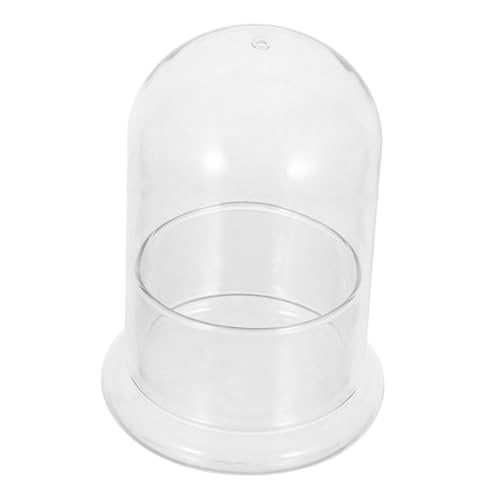 ibasenice Terrarium Glas Cloche Transparentes Geschlossenes DIY Ökosystem Hydroponic Pflanzgefäß für Moos Micro Landschaft Zimmerpflanzen Desktop Dekoration von ibasenice
