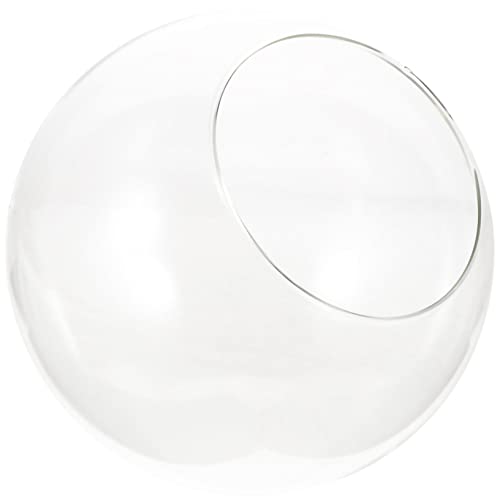 ibasenice Glass Terrarium Flasche Transparentes DIY Ökosystem Für Mikrolandschaften Für Sukkulenten Und Dekoration Modernes Design Für Zuhause Und Hochzeiten von ibasenice