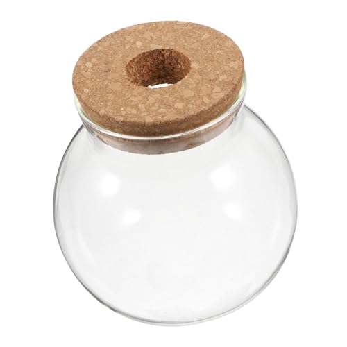 ibasenice Terrarium für Pflanzen Transparentes Glaskorkenglas DIY Mikrolandschaft für Moos Sukkulenten und Luftpflanzen Vielseitig Einsetzbar als Vase ibasenice Terrarium für Pflanzen Transparentes Glaskorkenglas DIY Mikrolandschaft für Moos Sukkulenten und Luftpflanzen Vielseitig Einsetzbar als Vase von ibasenice