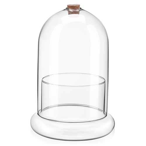 ibasenice Terrarium mit Klarglas Landschafts Vase für Moos und Pflanzen mit Luftloch für Schreibtisch Regal und Wohnraumgestaltung von ibasenice