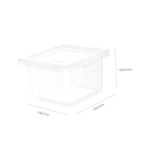 ibasenice Transparente Reptilien aufzuchtdose aus Robustem Kunststoff Mittelgroße Futterbox für Spinnen Eidechsen Gottesanbeterin und Insekten Praktisches Terrarium zur Sicheren Haltung und ibasenice Transparente Reptilien aufzuchtdose aus Robustem Kunststoff Mittelgroße Futterbox für Spinnen Eidechsen Gottesanbeterin und Insekten Praktisches Terrarium zur Sicheren Haltung und von ibasenice