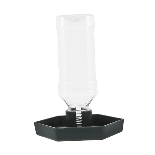 ibasenice Kleiner Reptilien Wasserspender Material Praktische Trinkschale Für Schildkröten Eidechsen Und Andere Reptilien Leicht Zu Reinigen Für Täglichen Gebrauch von ibasenice