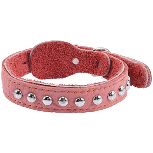 ibasenice kleines hundehalsband hundezubehör Dog Accessories Kleiner Kragen Halsabnutzung für Hunde welpen Strapazierfähige Hundehalsbänder für große Hunde Haustier Leder von ibasenice