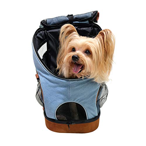 ibiyaya Hunderucksack für kleine Hunde | Bis 6 kg | Hundetragetasche Hundetransportbox | Reisetasche Haustiertasche | Farbe: Blau | Hundetasche von ibiyaya