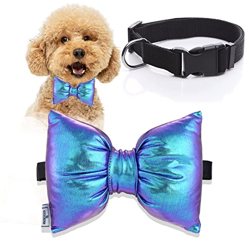 Nylon-Hundehalsband mit Fliege, Katzenfliege, verstellbares, weiches, klassisches Hundehalsband mit Schnellverschluss-Schnalle für kleine, mittelgroße und große Hunde, Katze, bequem (M, 01-Cute Blue) Nylon-Hundehalsband mit Fliege, Katzenfliege, verstellbares, weiches, klassisches Hundehalsband mit Schnellverschluss-Schnalle für kleine, mittelgroße und große Hunde, Katze, bequem (M, 01-Cute Blue) von icicecream