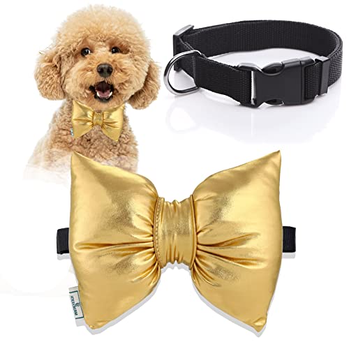 Nylon-Hundehalsband mit Fliege, Katzenfliege, verstellbares, weiches, klassisches Hundehalsband mit Schnellverschluss-Schnalle für kleine, mittelgroße und große Hunde, bequem (L, 02-Noble Gold) von icicecream