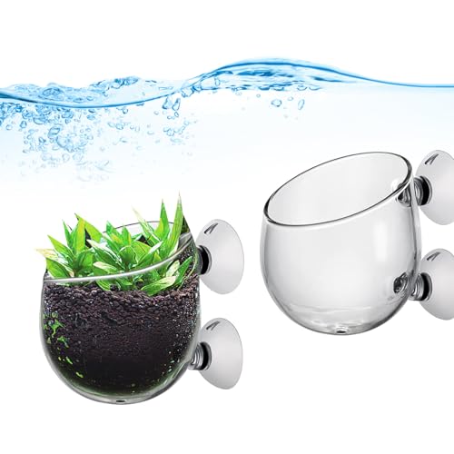 ieron 2 x Wasserpflanzenbecher mit 2 Saugnäpfen, Kristallglas-Blumentopf, Aquarium-Pflanzentopfhalter ieron 2 x Wasserpflanzenbecher mit 2 Saugnäpfen, Kristallglas-Blumentopf, Aquarium-Pflanzentopfhalter von Ieron