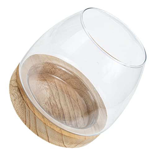 1 Satz Pflanztopf mit Holzunterlage Hydroponisches Terrarium für Wasserpflanzen und Betta Aquarium Design für Stilvolle Innendekoration Langlebig und Kreativ von ifundom