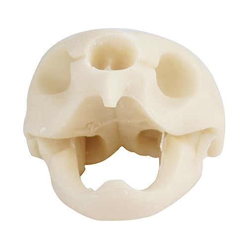 1 Stück Aquarium Dekoration Tortoise Skull Ornament für Fischbecken Wasserpflanzen Sicher Reinigen für Aquarienlandschaften 1 Stück Aquarium Dekoration Tortoise Skull Ornament für Fischbecken Wasserpflanzen Sicher Reinigen für Aquarienlandschaften von ifundom