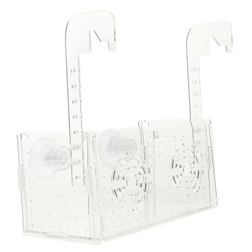 Aquarium Isolation Box für Fischzucht Brutkasten mit Saugnäpfen für Garnelen und Kleine Fische Schützt Fischlarven Erwachsenen zu Installieren Langlebig Aquarium Isolation Box für Fischzucht Brutkasten mit Saugnäpfen für Garnelen und Kleine Fische Schützt Fischlarven Erwachsenen zu Installieren Langlebig von ifundom