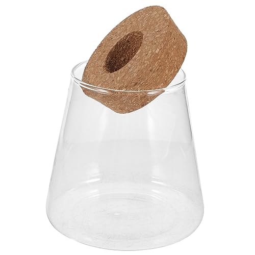 Glasfischbecken für Hydroponische Pflanzen Transparentes Terrarium mit Holzstopfen Kreative Tischvase für Fische und Pflanzen Dekorative Glasflasche für Innenräume Multifunktionale von ifundom