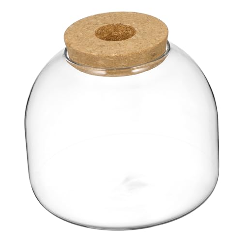 Ökosystem Terrarium Glasbehälter für Hydroponische Pflanzen Transparentes Pflanzgefäß mit Korkdeckel für Kreative und DIY Enthusiasten Miniaturgärten und Innenraumdekoration Ökosystem Terrarium Glasbehälter für Hydroponische Pflanzen Transparentes Pflanzgefäß mit Korkdeckel für Kreative und DIY Enthusiasten Miniaturgärten und Innenraumdekoration von ifundom
