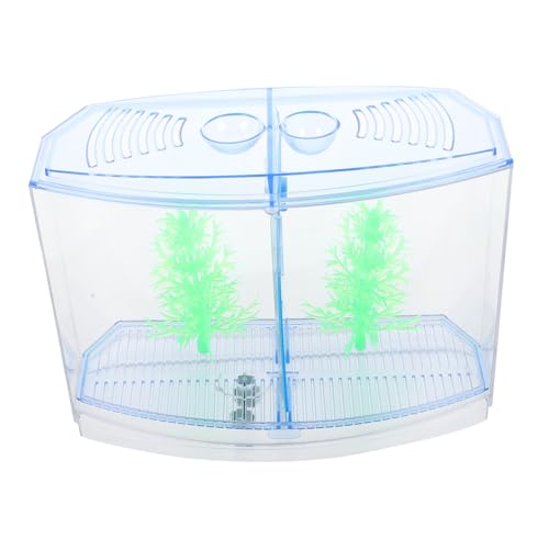 ifundom 1 Satz Aquarium LED Acrylic Fish Tank für Goldfische Garnelen Zuchtbecken für Kleine Fische Kreative Wasserpflanzen Dekoration für Schreibtisch und DIY Wasserlandschaften von ifundom