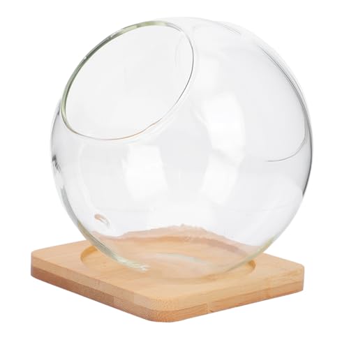 ifundom 1 Satz Doppelte Flasche Terrarium Blumentopf Kakteen Blumenterrarium Mikroterrarium Dekorativ Mini Blumentöpfe Schreibtischdekor Hochzeitsdeko Glas ifundom 1 Satz Doppelte Flasche Terrarium Blumentopf Kakteen Blumenterrarium Mikroterrarium Dekorativ Mini Blumentöpfe Schreibtischdekor Hochzeitsdeko Glas von ifundom