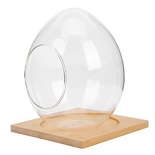 ifundom 1 Satz Eierförmiges Terrarium mit Standfuß DIY Ökosystem Flasche für Sukkulenten Pflanzen und Moos Dekorative Tischvase für Wohnen ifundom 1 Satz Eierförmiges Terrarium mit Standfuß DIY Ökosystem Flasche für Sukkulenten Pflanzen und Moos Dekorative Tischvase für Wohnen von ifundom
