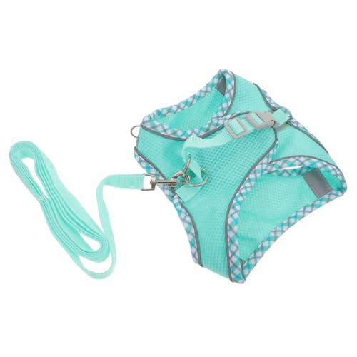 ifundom 1 Satz Hundegeschirr-Set Leine Groß Körperpflege Hundetraining Führen Zubehör Für Haustier Ausbildung Hundegeschirre Hundeweste Tragbares Welpengeschirr Sky-Blue Polyester von ifundom