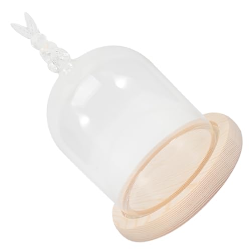 ifundom 1 Satz Kerzenschirm Wohnaccessoires Anzeige Ausstellungsständer drinnen konservierter Blumenglasdeckel mit Platte Blumenabdeckung aus Glas Klarglasabdeckung hölzern ifundom 1 Satz Kerzenschirm Wohnaccessoires Anzeige Ausstellungsständer drinnen konservierter Blumenglasdeckel mit Platte Blumenabdeckung aus Glas Klarglasabdeckung hölzern von ifundom