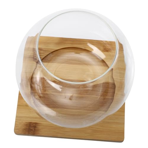 ifundom 1 Satz Micro Landscape Bottle Multifunktionale Glasflasche für Bambusunterlage für Moos DIY und Kleine Aquarien Transparent und Langlebig von ifundom