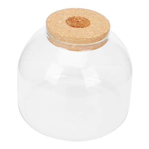 ifundom 1 Satz Ökologische Mikrolandschaftsflasche winzig Terrarienglas mit Deckel einfache Flasche Anlage drinnen Terrarienflasche Terrariengehäuse aus Glas Ökosystemflasche hölzern ifundom 1 Satz Ökologische Mikrolandschaftsflasche winzig Terrarienglas mit Deckel einfache Flasche Anlage drinnen Terrarienflasche Terrariengehäuse aus Glas Ökosystemflasche hölzern von ifundom