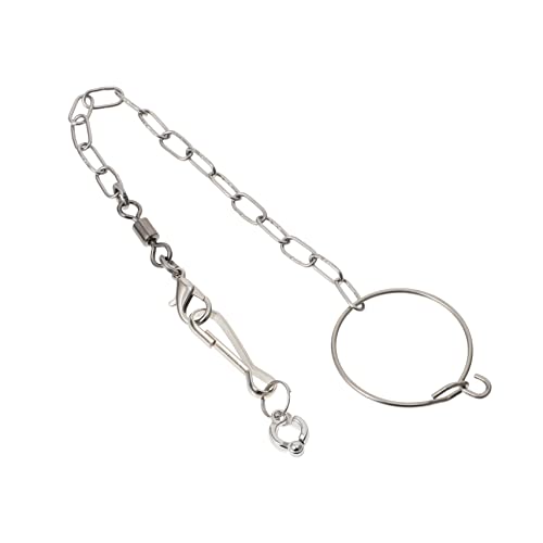ifundom 1 Satz Papageien Fußring Set mit Fußkette für Vögel Fußring Kette Leicht und Langlebig Zubehör für Sittiche und Papageien ifundom 1 Satz Papageien Fußring Set mit Fußkette für Vögel Fußring Kette Leicht und Langlebig Zubehör für Sittiche und Papageien von ifundom