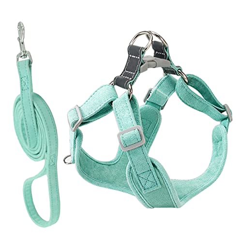 ifundom 1 Satz Weste-Leine groß XXX für gepolstert kleines Hundegeschirr mit Griff Maschenhundkabelbaum Spielzeugpudelgurt Heimtierbedarf Hundezubehör Wildleder Light Green ifundom 1 Satz Weste-Leine groß XXX für gepolstert kleines Hundegeschirr mit Griff Maschenhundkabelbaum Spielzeugpudelgurt Heimtierbedarf Hundezubehör Wildleder Light Green von ifundom