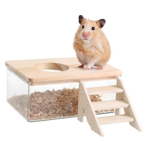 ifundom 1 Set Hamsterbadezimmer Transparente Hamsterhabitate Buddelsandbehälter Hamstersandbad Mit Leiter Sandbadbehälter Mit Leiter Hamsterbadewanne Hamsterzubehör Holz ifundom 1 Set Hamsterbadezimmer Transparente Hamsterhabitate Buddelsandbehälter Hamstersandbad Mit Leiter Sandbadbehälter Mit Leiter Hamsterbadewanne Hamsterzubehör Holz von ifundom