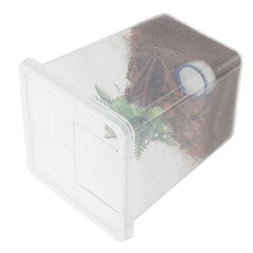 ifundom 1 Set Haustier Spinnenbox Terrarium Krabbelboxen Für Haustiere Lebensraum Für Springspinnen Zubehör Für Spinnengehege Gehege Für Springspinnen Spinnenkäfig Gehege Für von ifundom