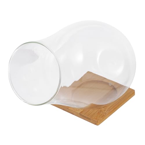 ifundom 1 Set Pflanzenterrarium Dekoglasschale Terrarienbehälter Glasterrarium Glaspflanzgefäß Pflanzenvase Indoor Glasschale Dekoschale Transparent von ifundom