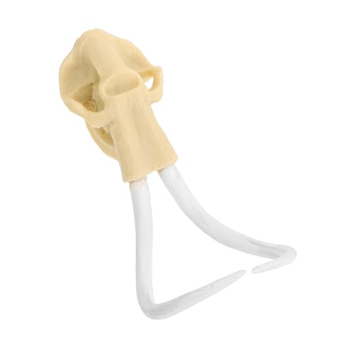 ifundom 1 Stück Aquarium Dekoration Resin Skull Ornament für Fischbecken und Desktop Kompakte Fischsicheres Material Verarbeitung für Unterwasseransichten ifundom 1 Stück Aquarium Dekoration Resin Skull Ornament für Fischbecken und Desktop Kompakte Fischsicheres Material Verarbeitung für Unterwasseransichten von ifundom