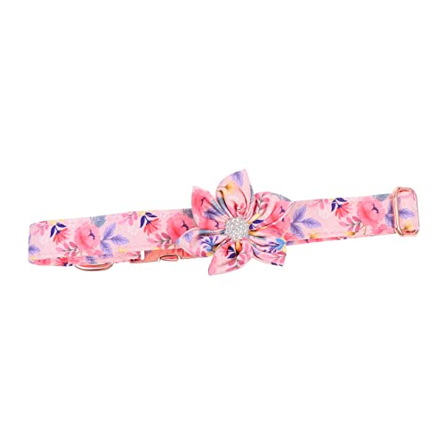 ifundom 1 Stück Haustierhalsband für Hunde Name Gewebte Haustierhalle Kragen Halsschmuck für Haustiere Partybevorzugung für Haustier tägliches Hundedekor Hundehalsband Reine Baumwolle Rosa von ifundom