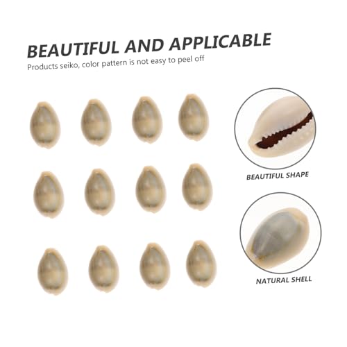 ifundom 100 Stück Natürliche Conch Muscheln für Aquarium Deko Lebendige DIY Bastelaccessoires Umweltfreundlich Leicht für Fischbecken Glasbehälter Natürliche Stranddekoration ifundom 100 Stück Natürliche Conch Muscheln für Aquarium Deko Lebendige DIY Bastelaccessoires Umweltfreundlich Leicht für Fischbecken Glasbehälter Natürliche Stranddekoration von ifundom