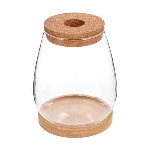ifundom 1Satz Terrarium Flasche für DIY Mikrolandschaften Ökologische Pflanze und Blumenbehälter für Dekoration Garten und Lochdeckel ifundom 1Satz Terrarium Flasche für DIY Mikrolandschaften Ökologische Pflanze und Blumenbehälter für Dekoration Garten und Lochdeckel von ifundom