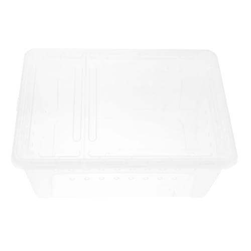 ifundom 1Stück Reptilien Fütterungsbox Transparente Kunststoff Tierhaltung für Eidechsen Spinnen und Skorpione Transportabel Komfortable Umgebung für Kleine ifundom 1Stück Reptilien Fütterungsbox Transparente Kunststoff Tierhaltung für Eidechsen Spinnen und Skorpione Transportabel Komfortable Umgebung für Kleine von ifundom