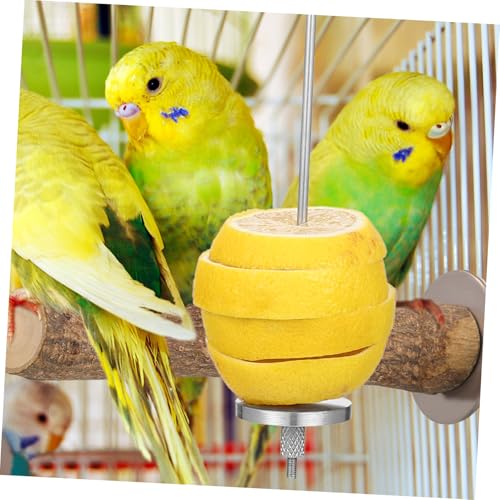 ifundom 2 Stück Edelstahl Vogel spieße Vogel Futterhalter für Papageien Wellensittiche Nymphensittiche Obst Gemüse Halter Käfig Zubehör Leicht zu Reinigen Langlebig von ifundom
