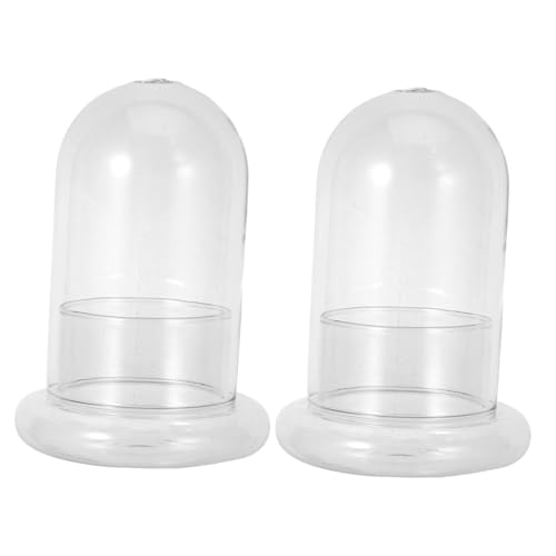 ifundom 2 Stück Miniatur Glasflasche für Landschaft Ökologisches Terrarium mit Loch DIY Deko für Pflanzen und Blumenarrangements ifundom 2 Stück Miniatur Glasflasche für Landschaft Ökologisches Terrarium mit Loch DIY Deko für Pflanzen und Blumenarrangements von ifundom