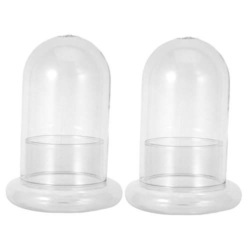 ifundom 2 Stück Moosflasche für Landschaften DIY Glasflasche für Terrarien und Dekorationen für Bürogestaltung von ifundom