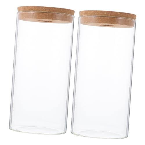 ifundom 2 Stück Öko-Flasche Aus Glas Vase Links Zylindrische Glasflasche Pflanzenbehälter Aus Moos Dekorativer Mikro-landschaftsbehälter Flasche Moospflanze Landschaft Flasche Transparent von ifundom
