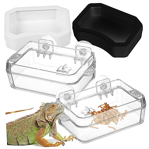 ifundom 2 Stück Reptilien Futternapf und Wasserschale Teiliges Auslaufsicheres Futtergefäß für Chamäleons und Eidechsen Transparent für Terrarien Geeignet ifundom 2 Stück Reptilien Futternapf und Wasserschale Teiliges Auslaufsicheres Futtergefäß für Chamäleons und Eidechsen Transparent für Terrarien Geeignet von ifundom