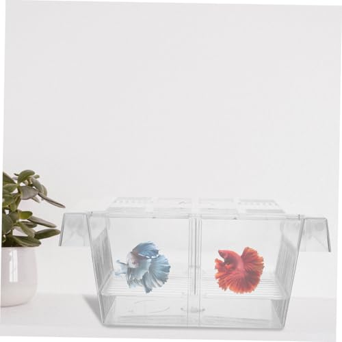 ifundom 2 Stück Teiliges Aquarium Aufzuchtbecken mit Saugnäpfen Langlebige Fischzuchtbox aus Bruchfestem Material Sichere Trennbox für Babyfische zur Verbesserung der Überlebensrate ifundom 2 Stück Teiliges Aquarium Aufzuchtbecken mit Saugnäpfen Langlebige Fischzuchtbox aus Bruchfestem Material Sichere Trennbox für Babyfische zur Verbesserung der Überlebensrate von ifundom
