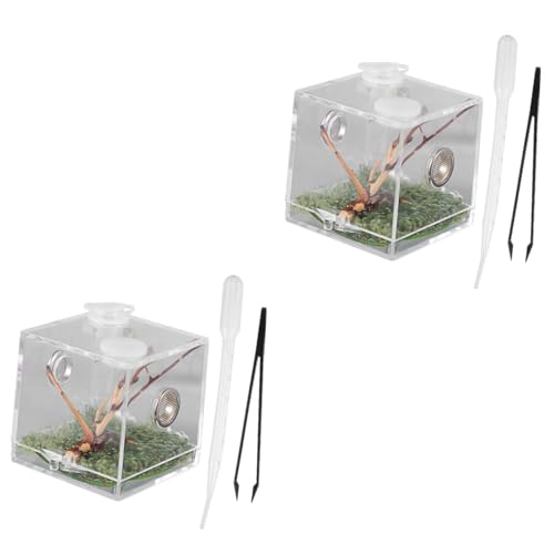 ifundom 2 Stück Transparente Reptilien Zuchtbox Pinzette und Tropfer Kleines Terrarium für Springspinnen und Andere Kleintiere Langlebig Leicht zu Reinigen Aufzuchtbehältnis für Reptilien ifundom 2 Stück Transparente Reptilien Zuchtbox Pinzette und Tropfer Kleines Terrarium für Springspinnen und Andere Kleintiere Langlebig Leicht zu Reinigen Aufzuchtbehältnis für Reptilien von ifundom