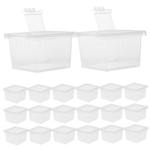 ifundom 20 Stück Kleine Transparente Insekten und Spinnen Aufzuchtbox Robustes Terrarium mit Hoher Sichtbarkeit Kompakt und Tragbar als Futter und Lebensraumbehälter für Reptilien und ifundom 20 Stück Kleine Transparente Insekten und Spinnen Aufzuchtbox Robustes Terrarium mit Hoher Sichtbarkeit Kompakt und Tragbar als Futter und Lebensraumbehälter für Reptilien und von ifundom