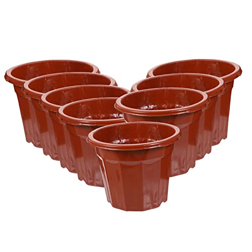 ifundom 25 Stück Sämlingpflanztopf Pflanzen Gärtnerei Topf Pflanzgefäß für Hochbeete klare Anzuchttöpfe für Pflanzen drinnen Anlage Blumentopf aus Kunststoff Garten Blumentopf Plastik rot ifundom 25 Stück Sämlingpflanztopf Pflanzen Gärtnerei Topf Pflanzgefäß für Hochbeete klare Anzuchttöpfe für Pflanzen drinnen Anlage Blumentopf aus Kunststoff Garten Blumentopf Plastik rot von ifundom