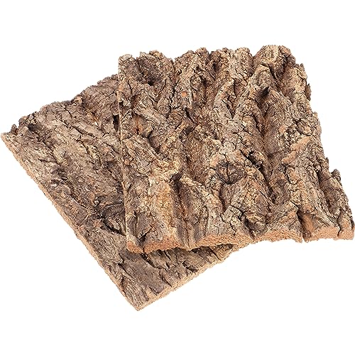 ifundom 2Stücke Reptilienbaumrinde Natürliche Terrarium Dekoration für Schlangen und Geckos Hochwertiges Reptiliendekor für Kreatives Habitat von ifundom